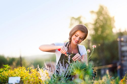 Customer raising a gardening complaint for review