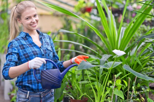 Illustration representing essential cookies for Gardeners Harold Hill