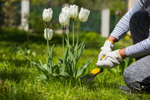 Risk-aware gardening practice by Gardeners Harold Hill on site