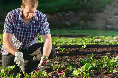 Seasonal garden maintenance in Harold Hill with planting and leaf clearance