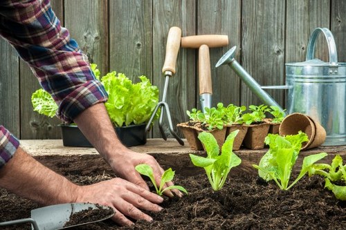 Professional gardening services in Harold Hill for homes and businesses