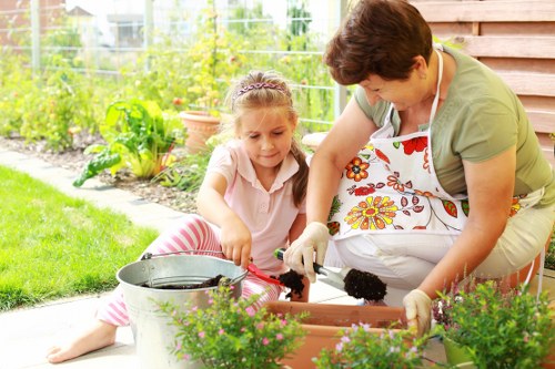Professional garden maintenance in Harold Hill with lawn and borders