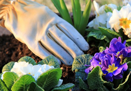 Professional garden clearance preparing a Harold Hill outdoor space