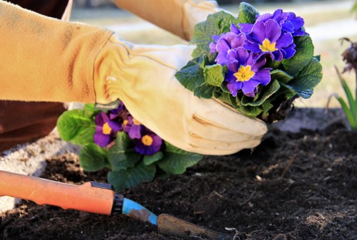 Green waste and debris being removed from a Harold Hill garden