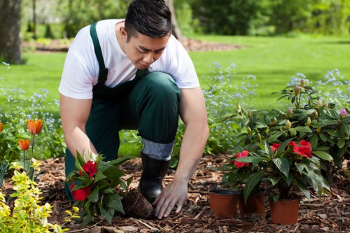Illustration showing analytics cookies used by Harold Hill gardeners