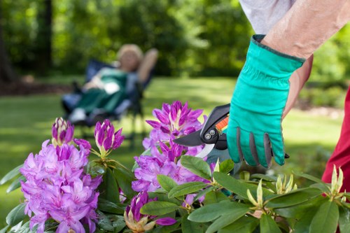 Waste handling and environmental compliance terms