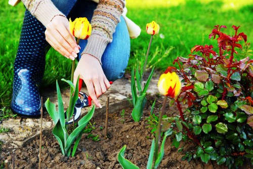 Complaint resolution steps for garden care services