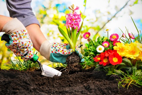 Supplier audit and due diligence process for Gardeners Harold Hill