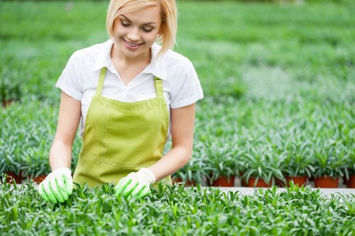 Professional lawn maintenance in Harold Hill with a well-kept garden