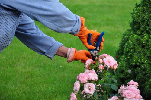 Screen-reader compatible content structure for Harold Hill gardeners