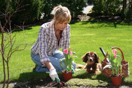 Seasonal garden maintenance in Harold Hill with pruning and mowing