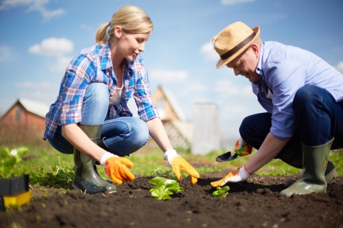Annual review of modern slavery controls for Gardeners Harold Hill