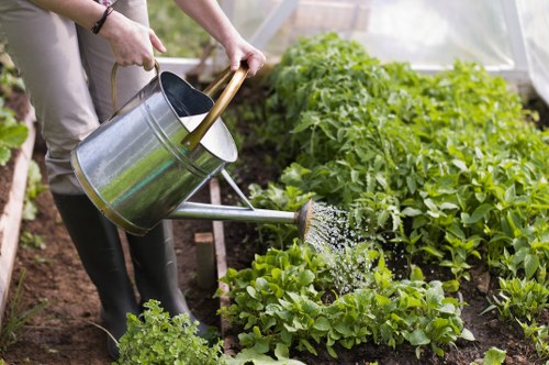 Weed and moss treatment for a healthier Harold Hill lawn