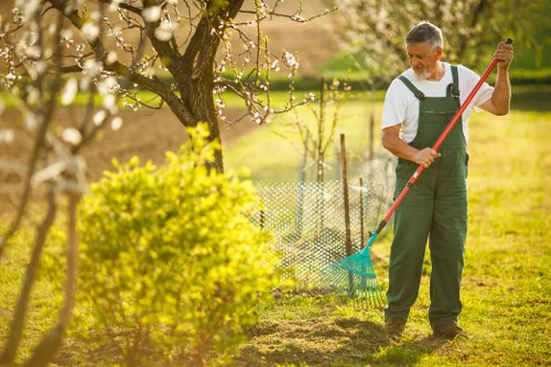 Seasonal hedge trimming in Harold Hill for residential properties