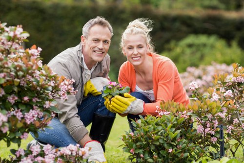 Local hedge maintenance in Harold Hill with tidy green boundaries