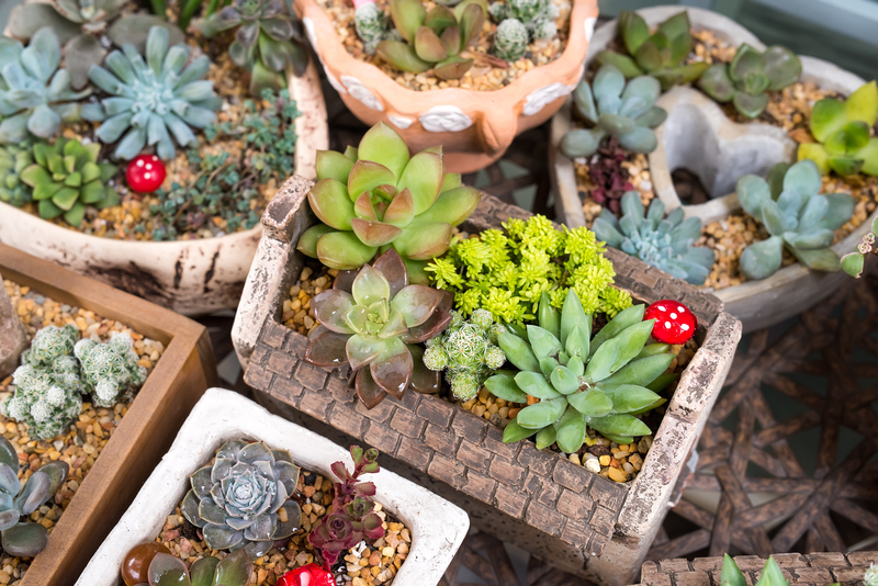 hedge trimming garden